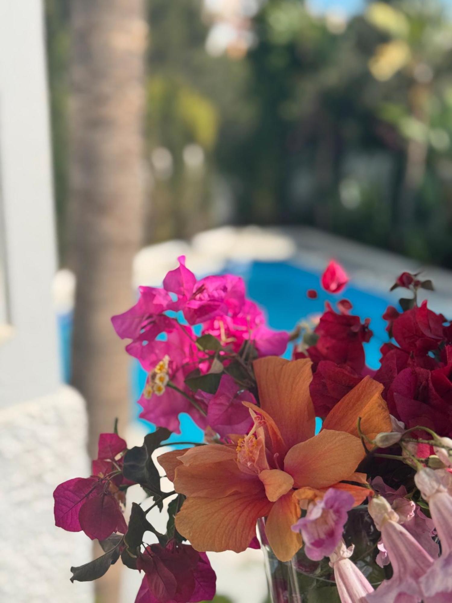 Villa Nerja Ngoại thất bức ảnh